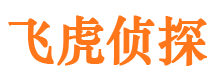 池州市出轨取证